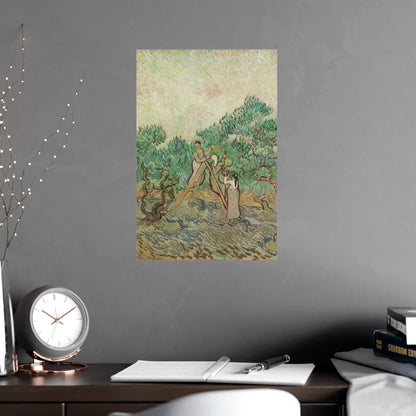 The Olive Orchard - Van Gogh Fine Art Poster