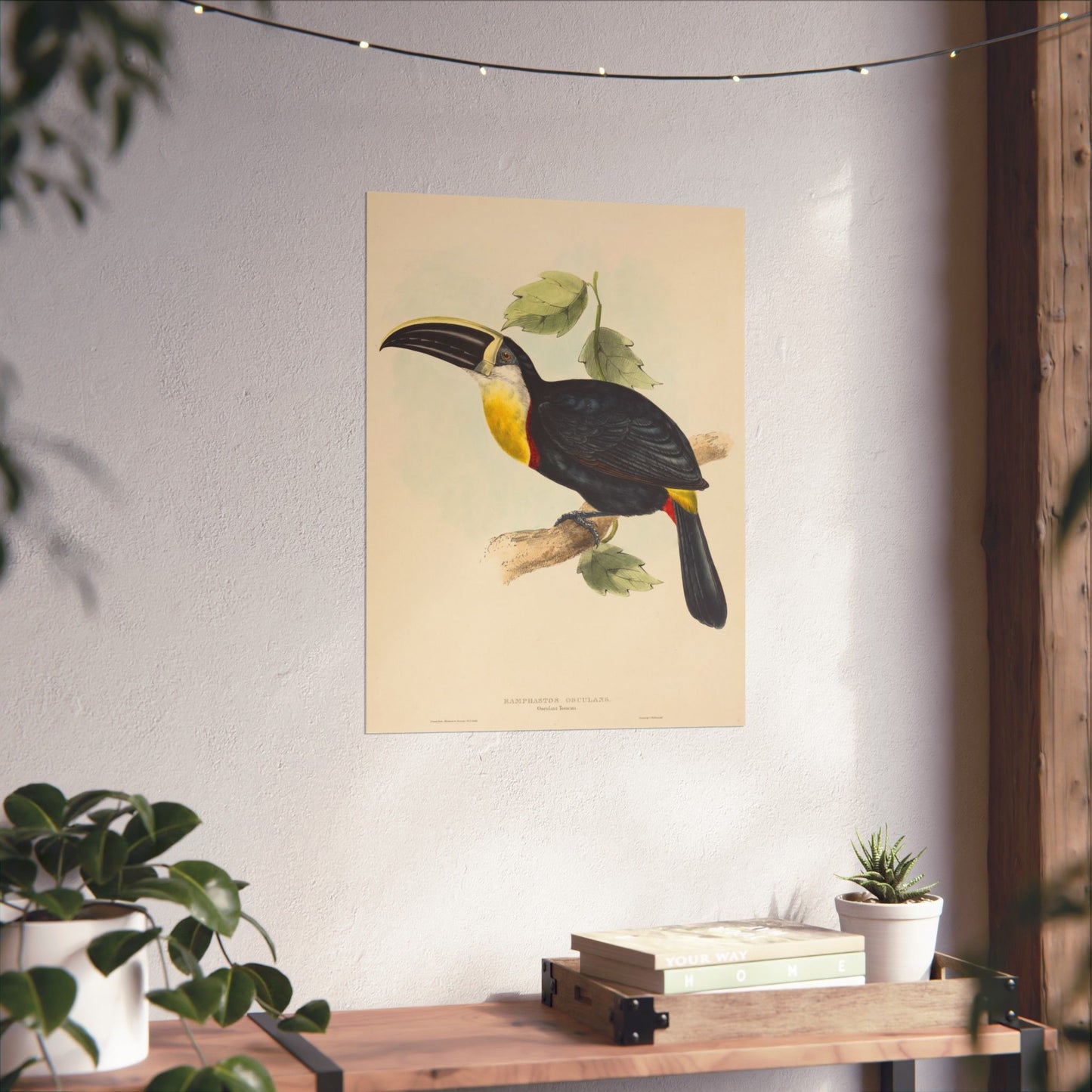 Tropical Toucan - Vintage Birdwatcher Art Print - Matte Vertical Poster - Elegant Bird Wall Art for Nature Lovers