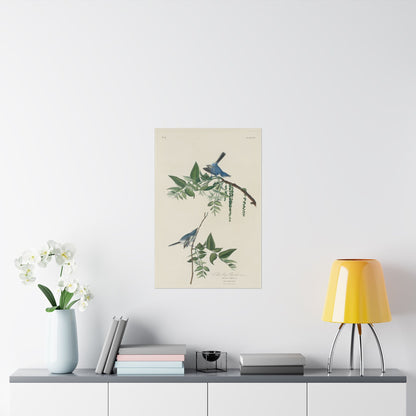 Vintage Bluebirds Botanical Print - Nature-Inspired Art - Matte Vertical Poster with Bluebirds
