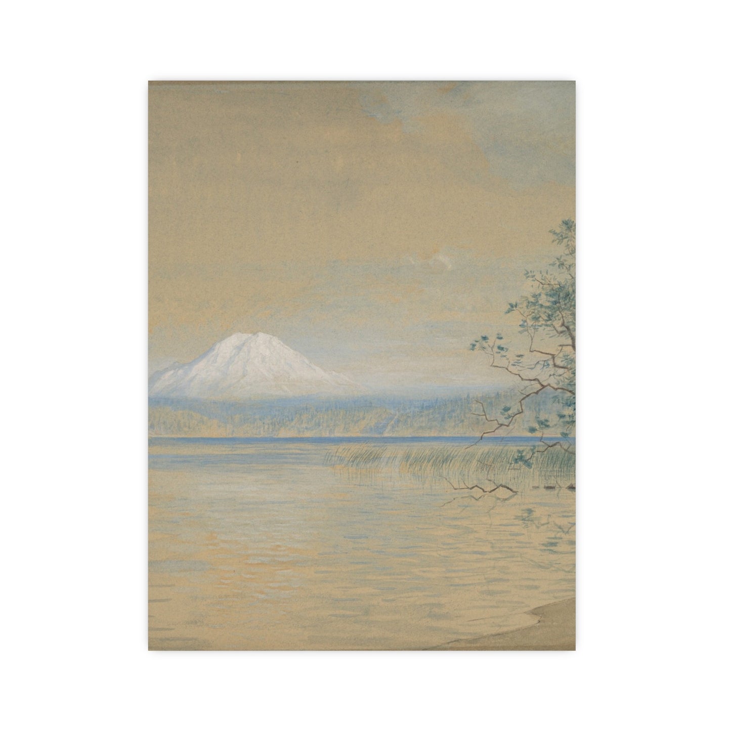 Mount Tacoma - Pacific Northwest Landscape Fine Art Poster