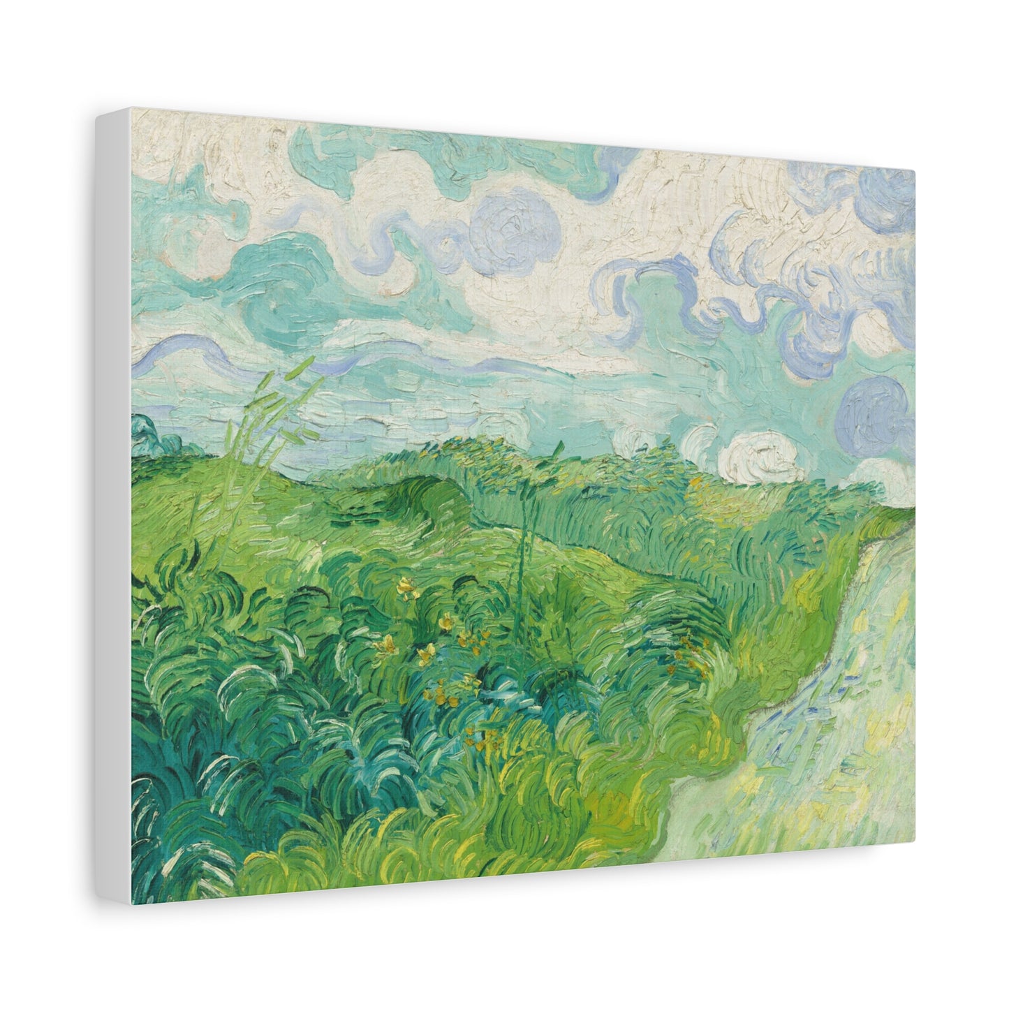Vincent van Gogh - Green Wheat Fields Fine Art Canvas Print
