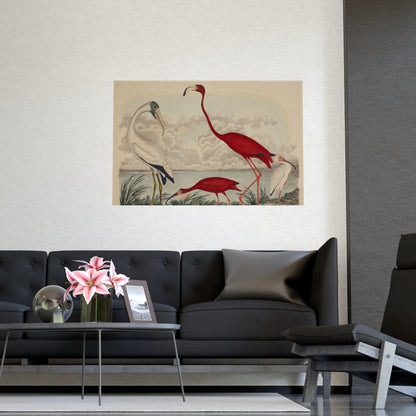 Scarlet Ibis and Flamingo - Vintage Bird Fine Art Poster