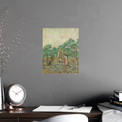 The Olive Orchard - Van Gogh Fine Art Poster