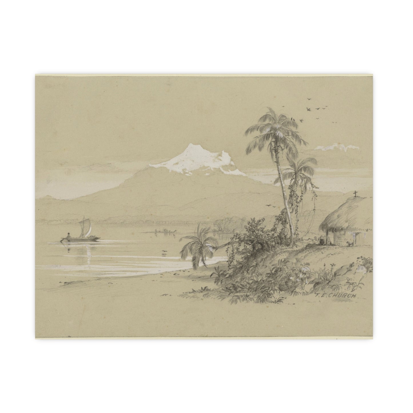 Magdalena River South America - Tropical Landscape Fine Art Poster