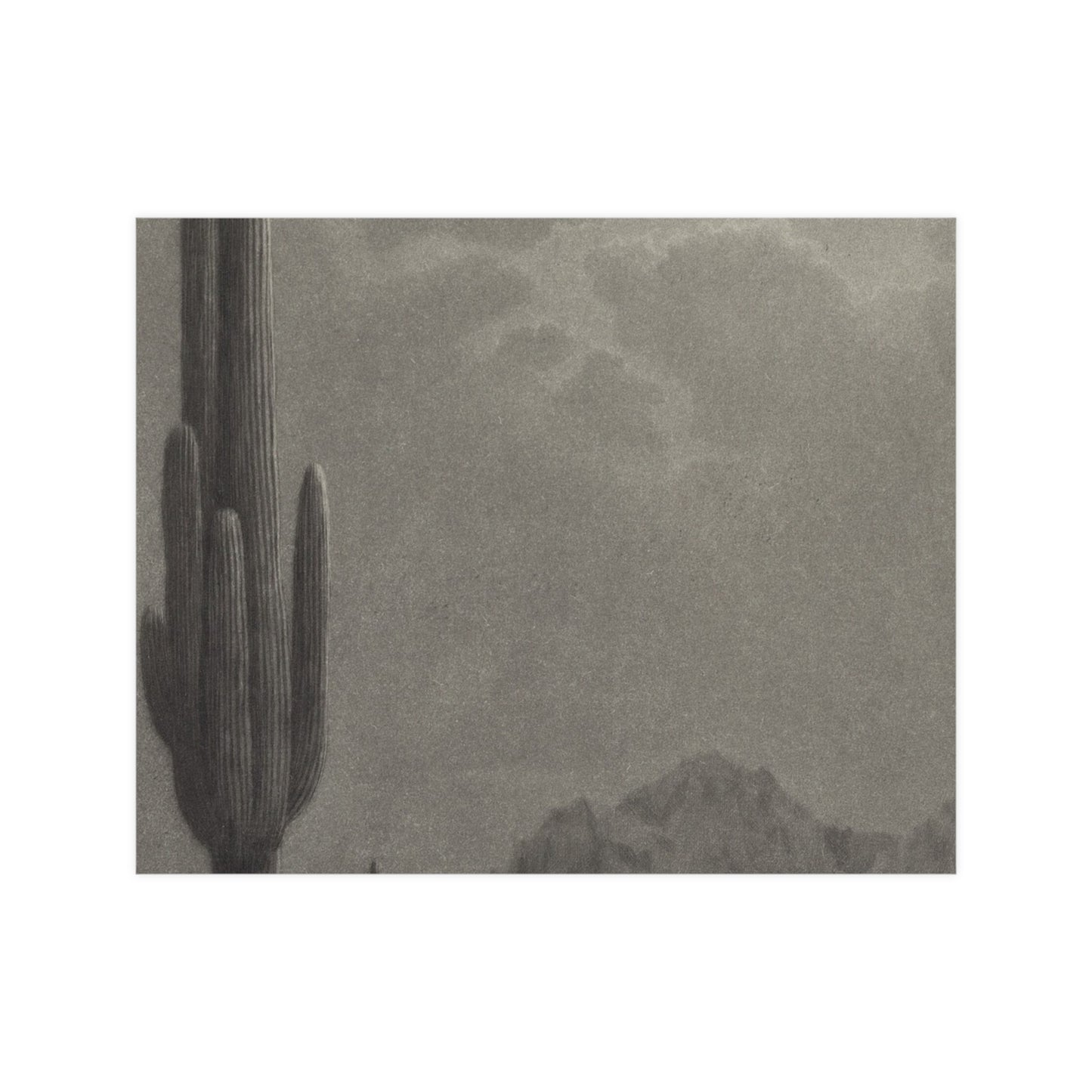 New Moon and Evening Star over Cactus- Celestial Fine Art Poster