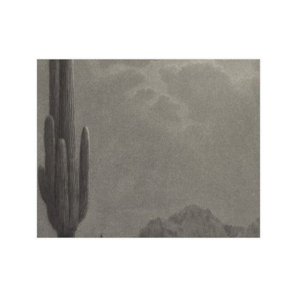 New Moon and Evening Star over Cactus- Celestial Fine Art Poster