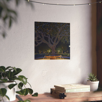 Winter Lights in the Park - Fine Art Print - Poster Print
