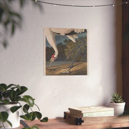Crane in the Glades - Vintage Fine Art Print - Art Print - Poster for Nature Lovers & Birdwatchers