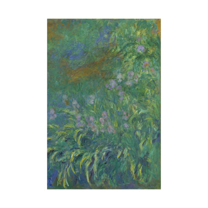 Claude Monet - Irises Botanical Fine Art Print