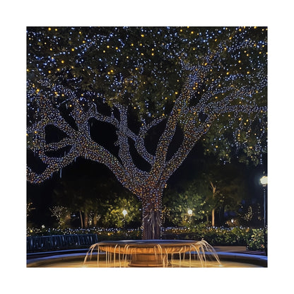 Winter Lights in the Park - Fine Art Print - Poster Print