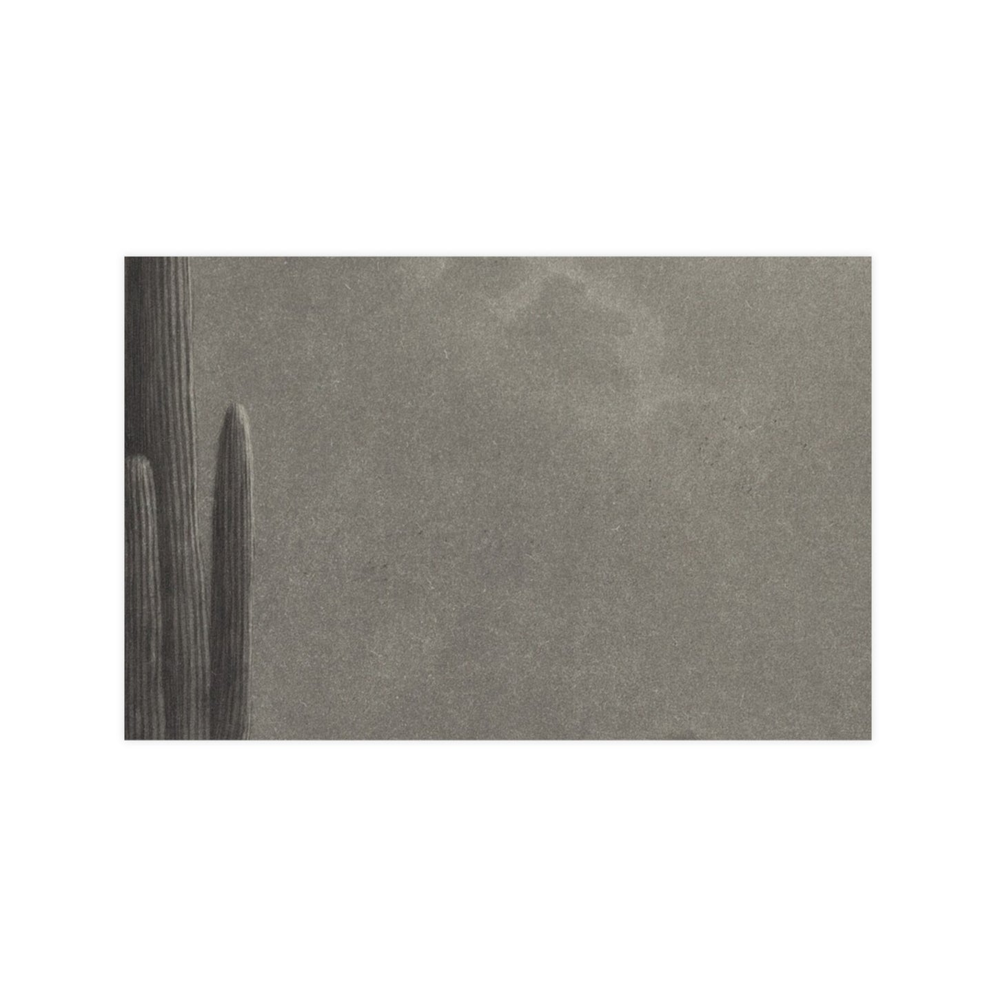 New Moon and Evening Star over Cactus- Celestial Fine Art Poster
