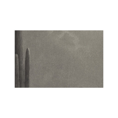 New Moon and Evening Star over Cactus- Celestial Fine Art Poster