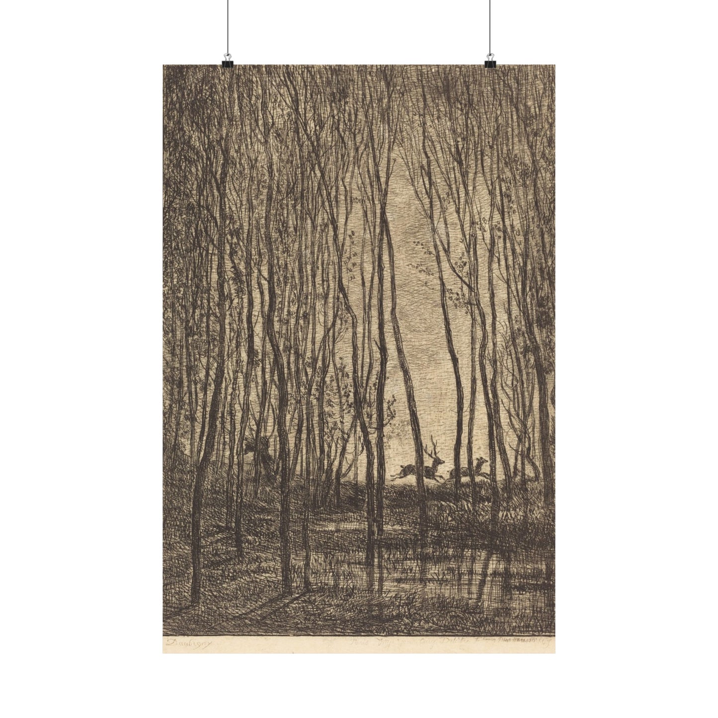 Deer Running Through Woods Nature Fine Art Print