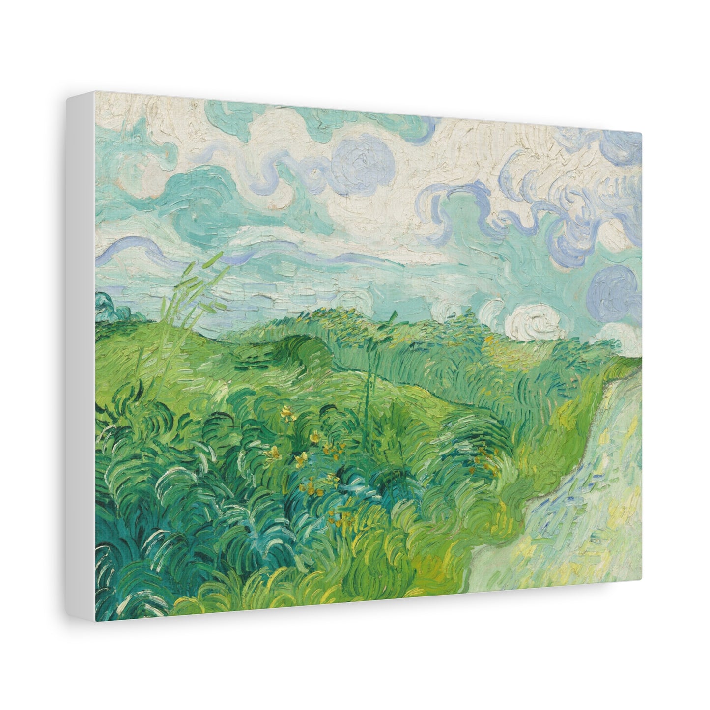 Vincent van Gogh - Green Wheat Fields Fine Art Canvas Print