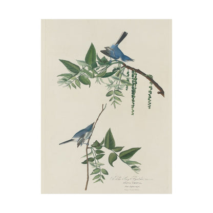 Vintage Bluebirds Botanical Print - Nature-Inspired Art - Matte Vertical Poster with Bluebirds