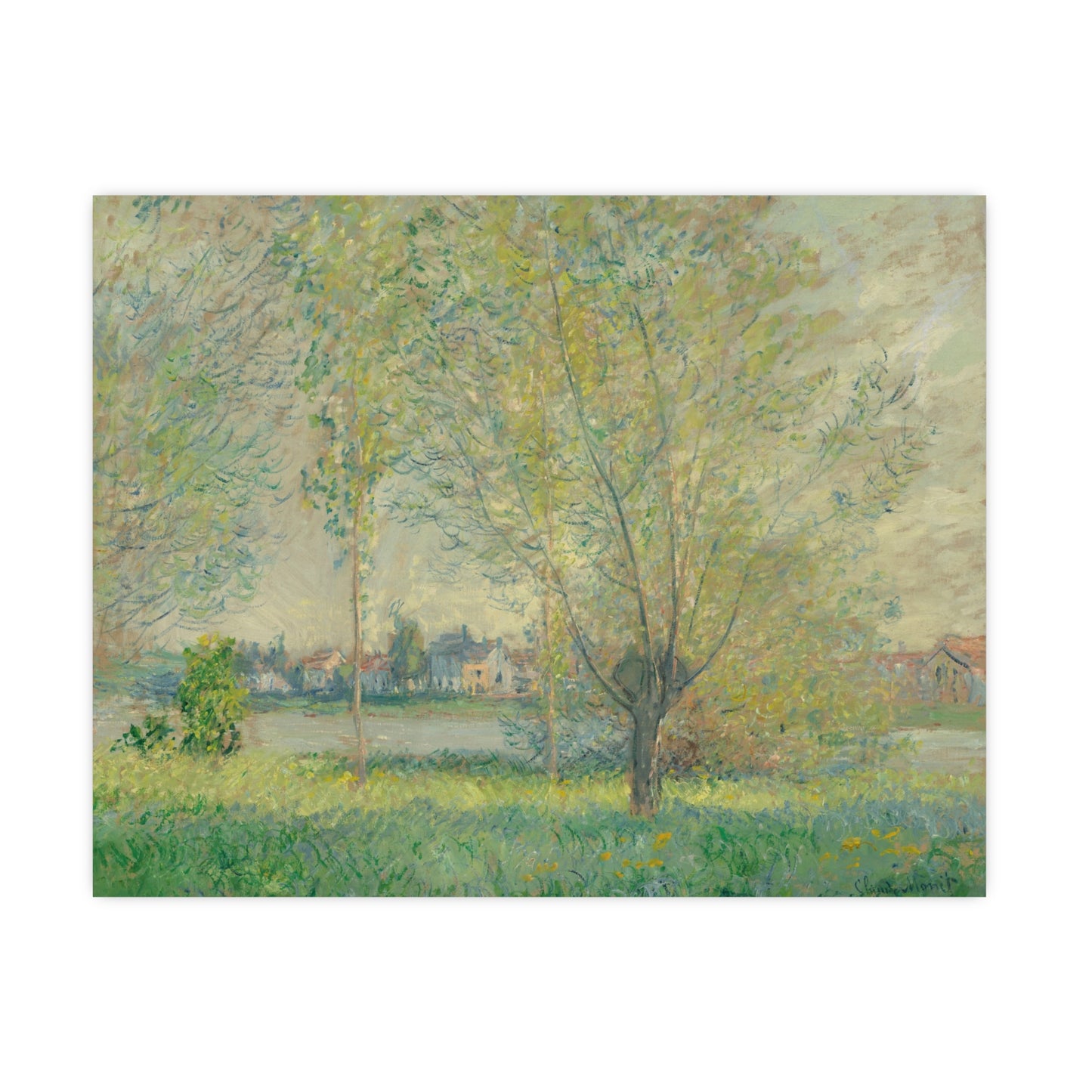 The Willows - Peaceful Landscape Fine Art Poster