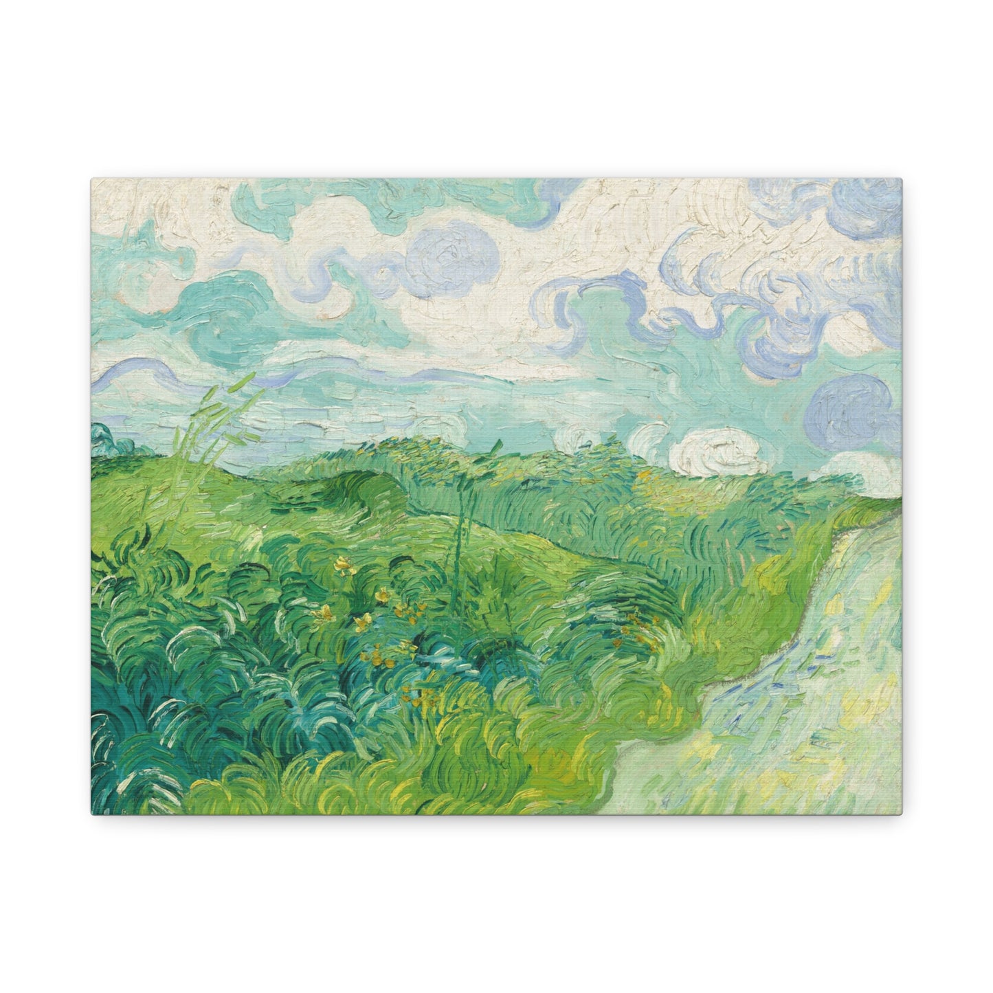 Vincent van Gogh - Green Wheat Fields Fine Art Canvas Print
