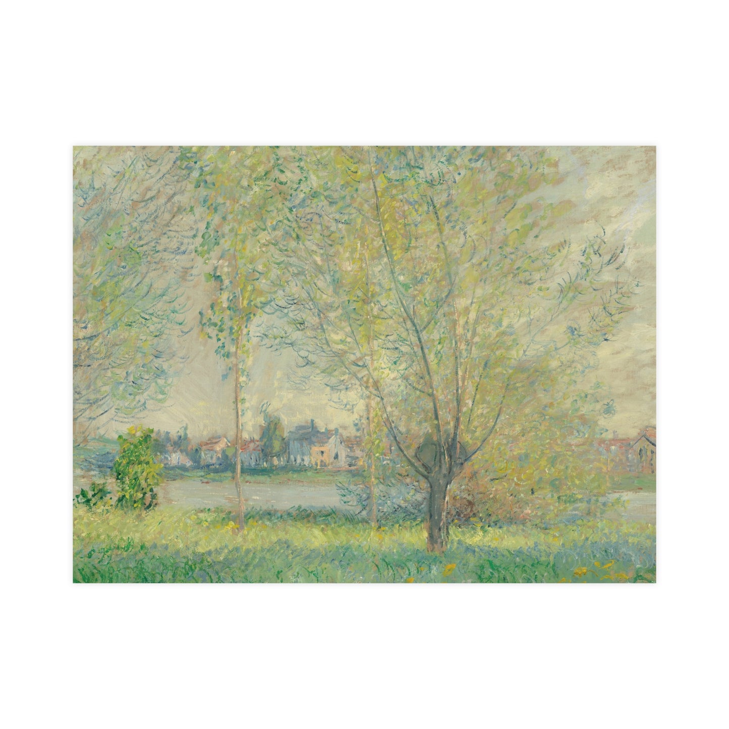 The Willows - Peaceful Landscape Fine Art Poster