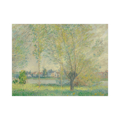 The Willows - Peaceful Landscape Fine Art Poster