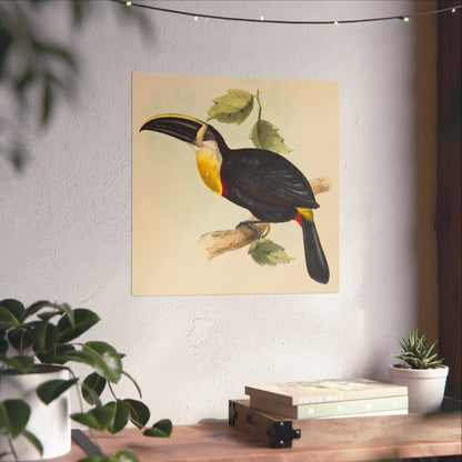 Tropical Toucan - Vintage Birdwatcher Art Print - Matte Vertical Poster - Elegant Bird Wall Art for Nature Lovers