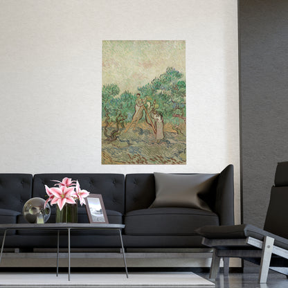 The Olive Orchard - Van Gogh Fine Art Poster