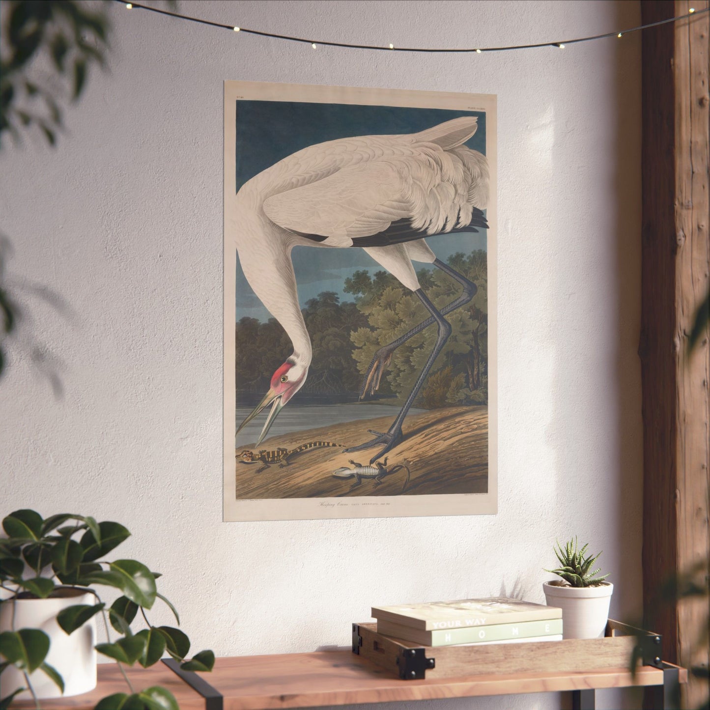 Crane in the Glades - Vintage Fine Art Print - Art Print - Poster for Nature Lovers & Birdwatchers