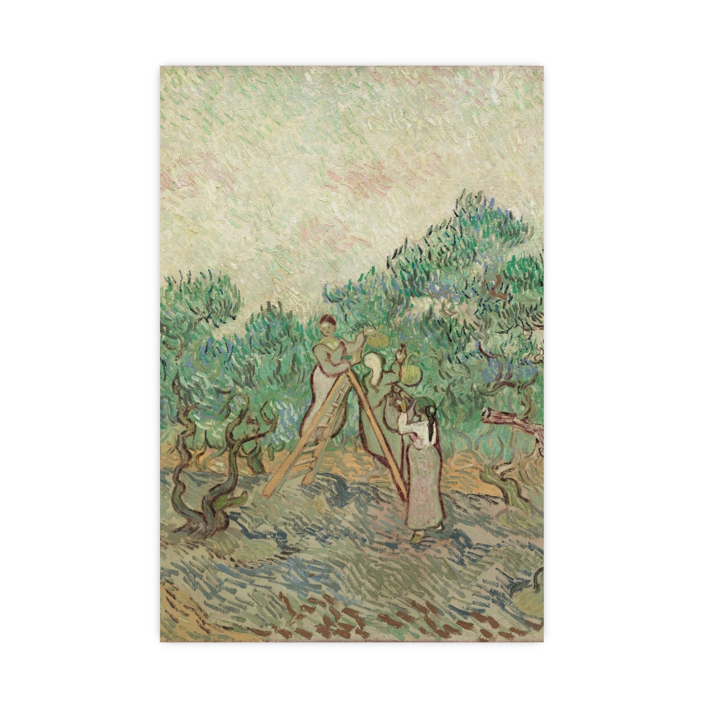 The Olive Orchard - Van Gogh Fine Art Poster