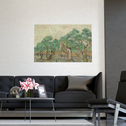 The Olive Orchard - Van Gogh Fine Art Poster
