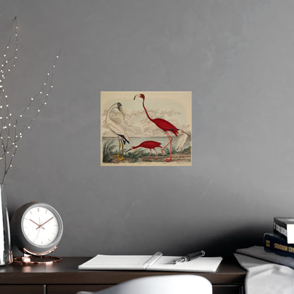 Scarlet Ibis and Flamingo - Vintage Bird Fine Art Poster