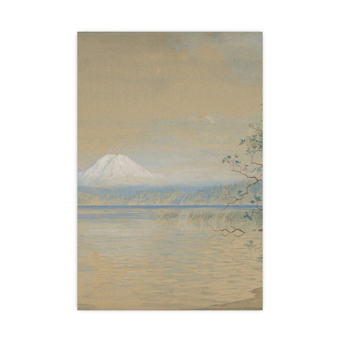 Mount Tacoma - Pacific Northwest Landscape Fine Art Poster