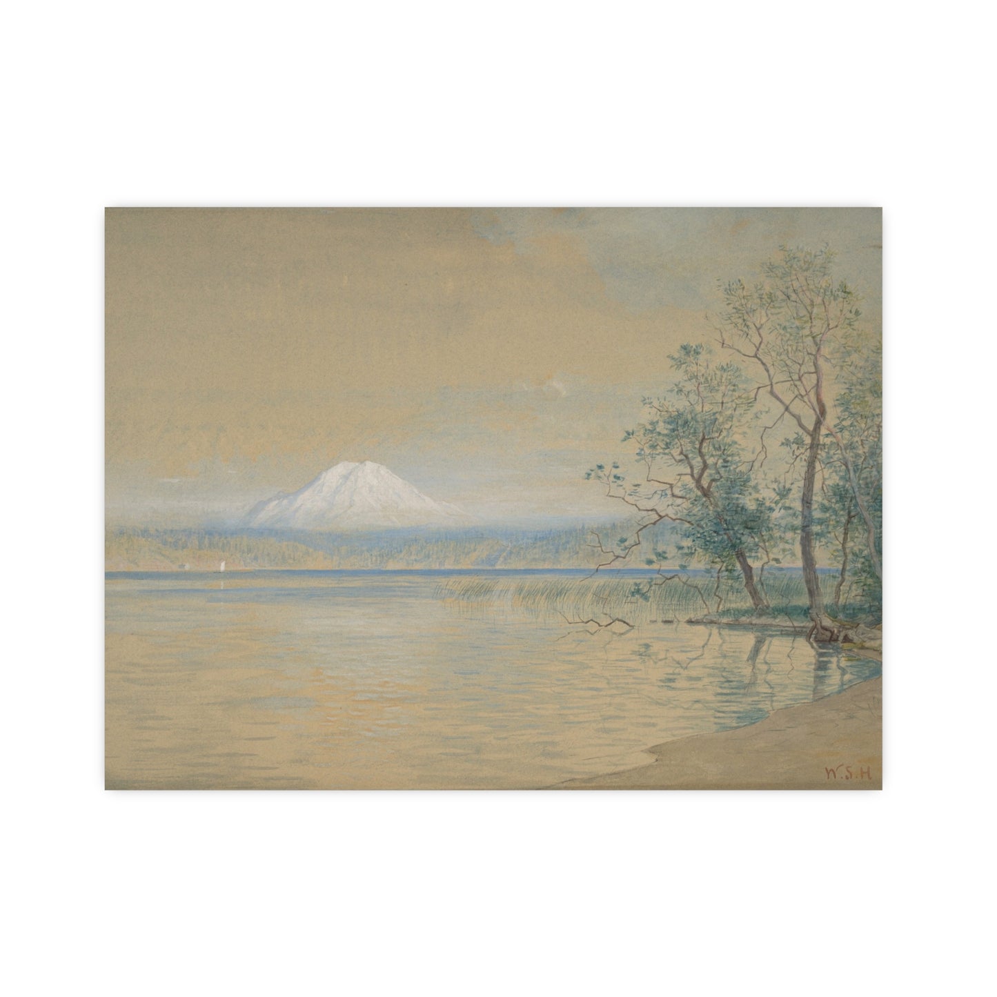 Mount Tacoma - Pacific Northwest Landscape Fine Art Poster