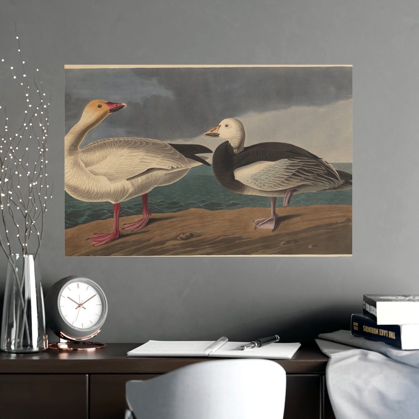 Snow Goose - Audubon Fine Art Poster