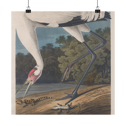 Crane in the Glades - Vintage Fine Art Print - Art Print - Poster for Nature Lovers & Birdwatchers