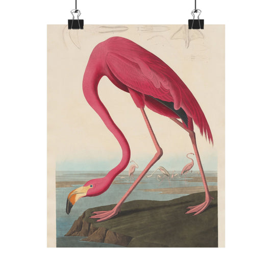 Vintage Flamingo Art Print - Wall Art - Posters - Matte Finish- Tropical Home Décor