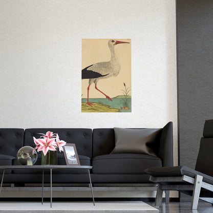 White Stork - Vintage Natural History Fine Art Poster