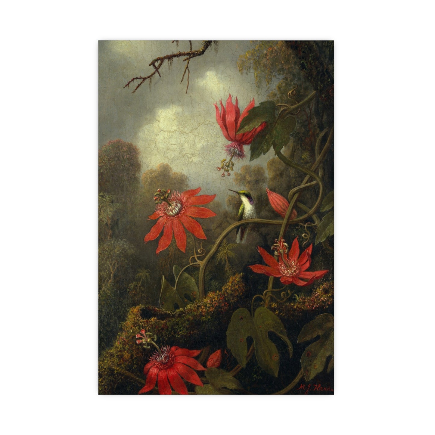 Hummingbird in Lush Tropical Landscape - Museum Collection - Fine Art Poster