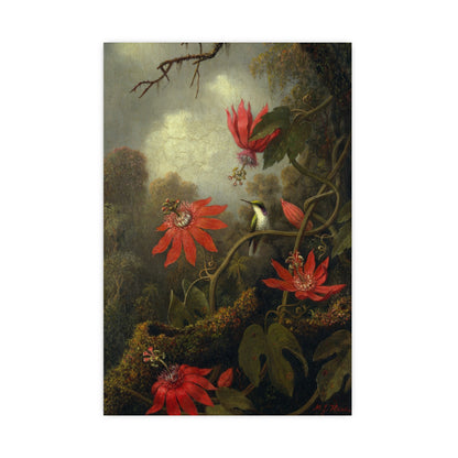Hummingbird in Lush Tropical Landscape - Museum Collection - Fine Art Poster