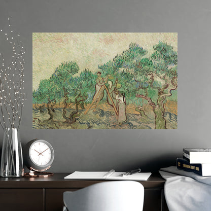 The Olive Orchard - Van Gogh Fine Art Poster
