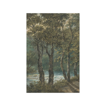 Sunlight Through Trees River Sihl - Forest Landscape Fine Art Poster