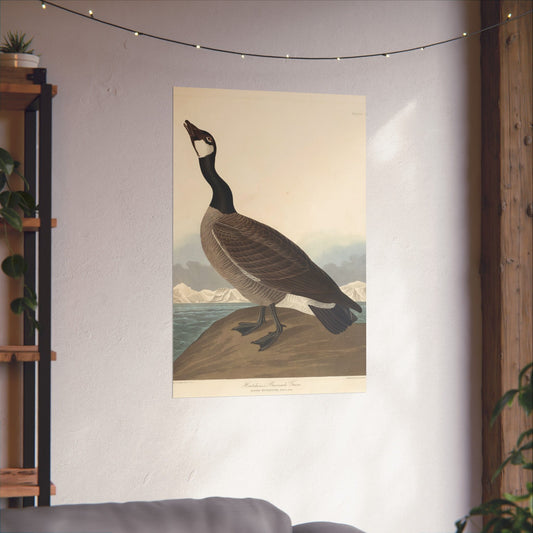 Vintage Goose Birdwatching Print - Matte Vertical Poster - Classic Bird Art for Home Décor
