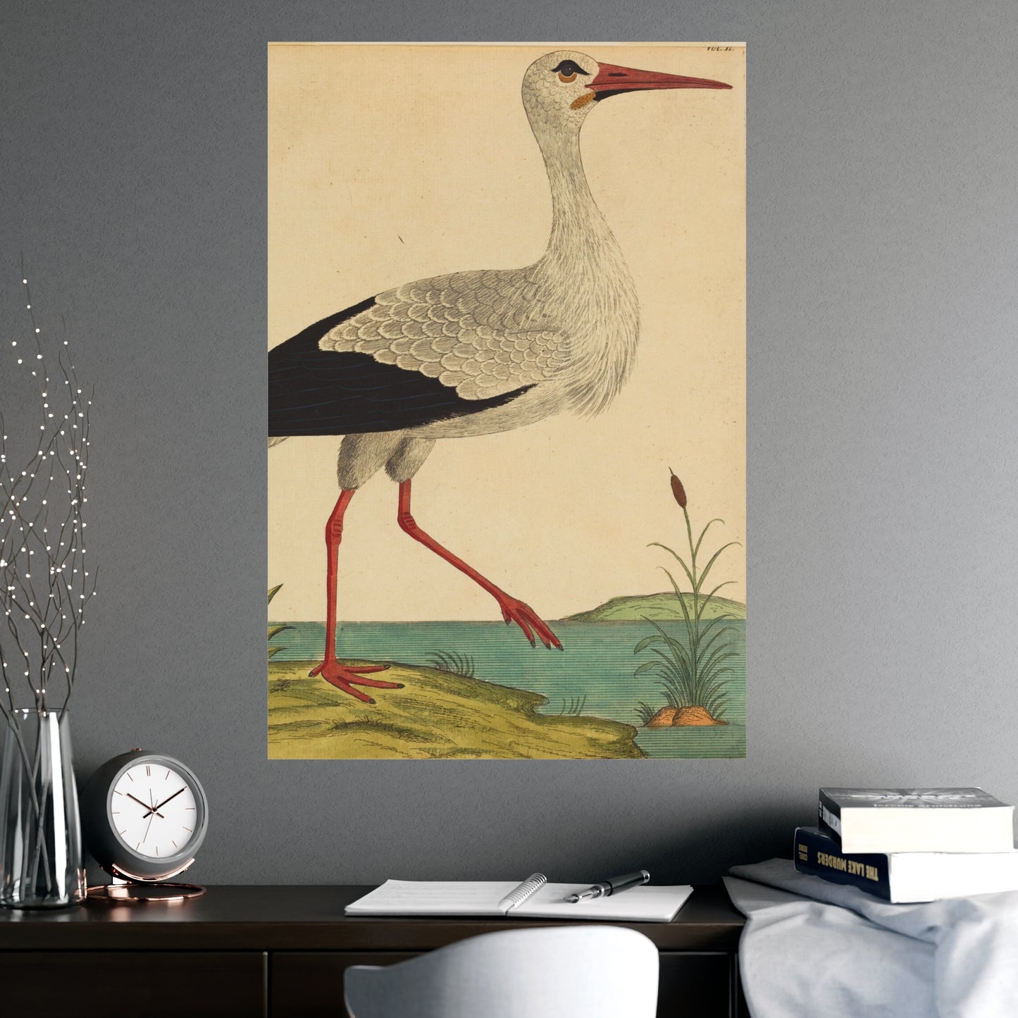 White Stork - Vintage Natural History Fine Art Poster