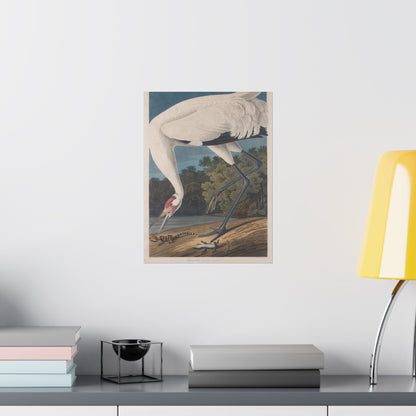 Crane in the Glades - Vintage Fine Art Print - Art Print - Poster for Nature Lovers & Birdwatchers