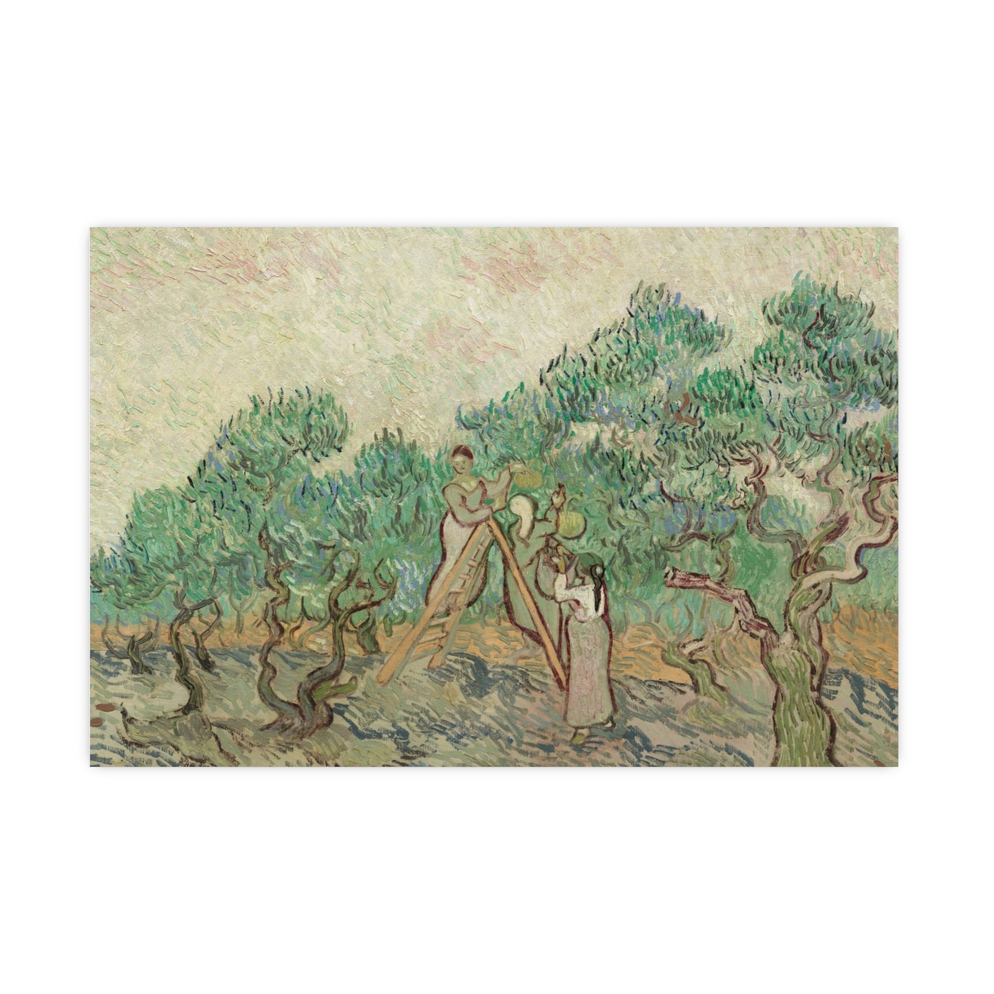 The Olive Orchard - Van Gogh Fine Art Poster