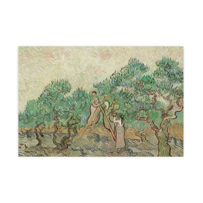 The Olive Orchard - Van Gogh Fine Art Poster