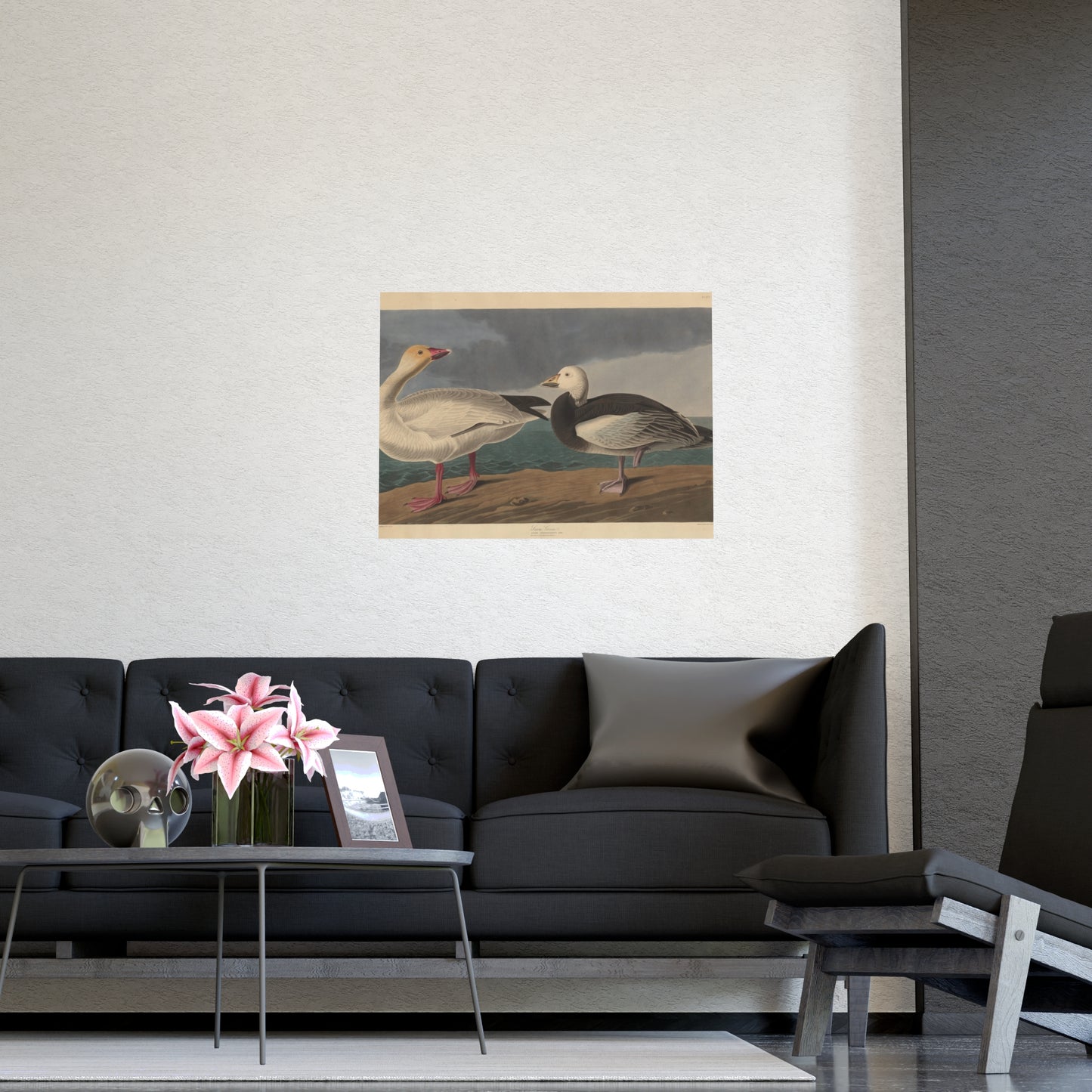 Snow Goose - Audubon Fine Art Poster