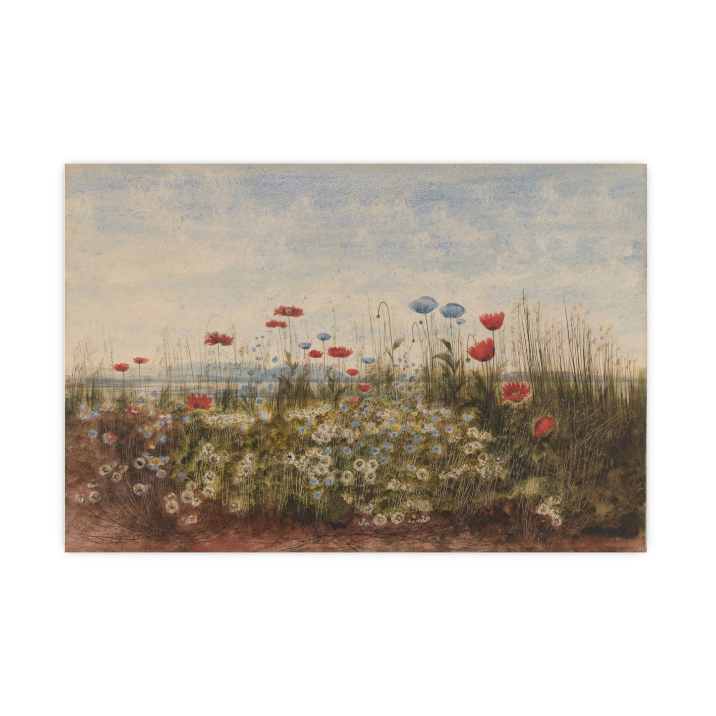 Wildflower Scene - Museum Collection - Fine Art Poster