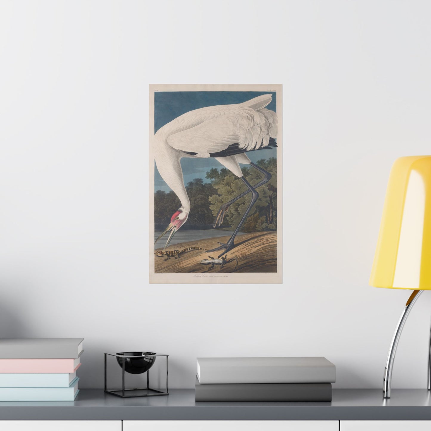 Crane in the Glades - Vintage Fine Art Print - Art Print - Poster for Nature Lovers & Birdwatchers