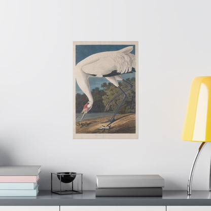 Crane in the Glades - Vintage Fine Art Print - Art Print - Poster for Nature Lovers & Birdwatchers