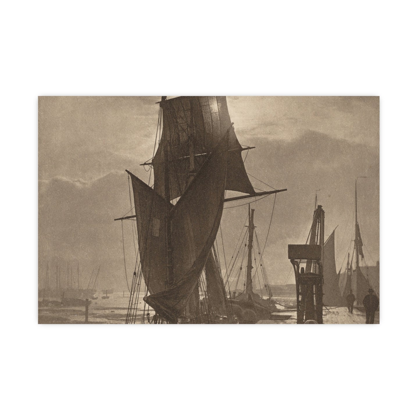 Sunshine and Shadow - Forest Interior Fine Art Poster