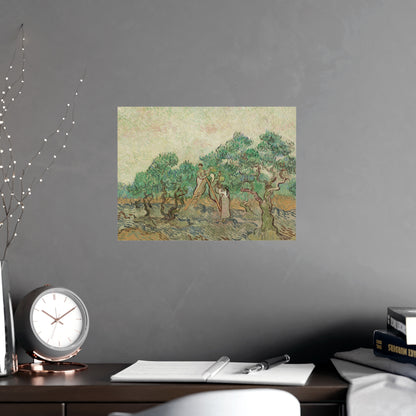 The Olive Orchard - Van Gogh Fine Art Poster